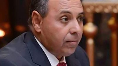 إرادة جيل: الشعب المصري هزم الدعوات المغرضة للعزوف عن المشاركة في الانتخابات