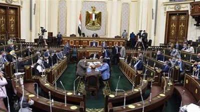 نائب محافظ القاهرة: الشباب شاركوا بقوة في انتخابات مجلس الشيوخ 2020