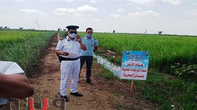 استرداد 136 فدانا من أملاك الدولة في 