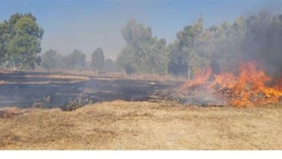 بين مطرقة حماس وسندان كورونا.. كيف نجحت المقاومة رغم الحصار في وضع مستوطني غلاف غزة في خانة الرعب