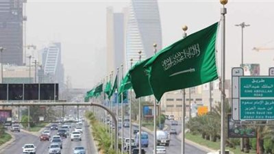 السعودية: إيران تهرب أسلحة لزعزعة استقرار المنطقة ويجب تمديد حظر السلاح عليها