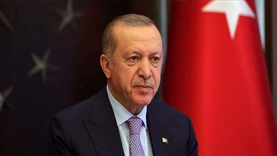 أستاذ جامعي تركي يطالب أردوغان باحتواء الخلاف مع مصر بوساطة روسية