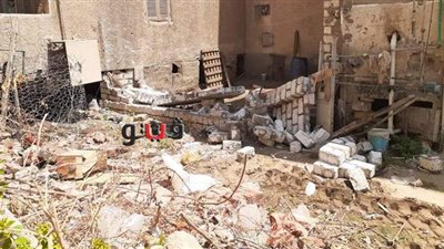 حملة فورية لإزالة الإشغالات بالقنطرة شرق.. صور