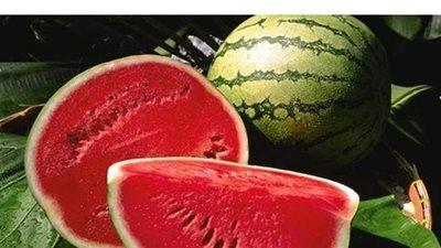 مجلس الوزراء يرد على شائعة انتشار بطيخ مسمم في الأسواق