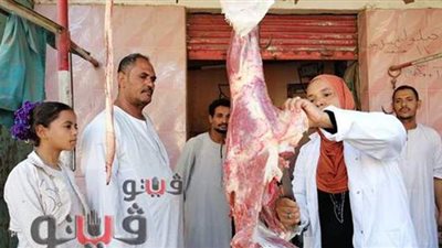 المهنة متعرّش صاحبها.. حكاية أصغر جزارة في الصعيد تحترف 