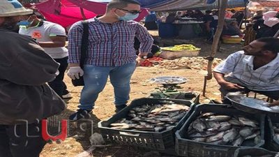 غلق 12 منشأة غذائية وسحب 78 عينة أغذية بالشرقية | صور