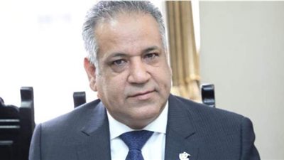 يسري الشرقاوي: زيادة الصادرات الزراعية ضمن خطة 