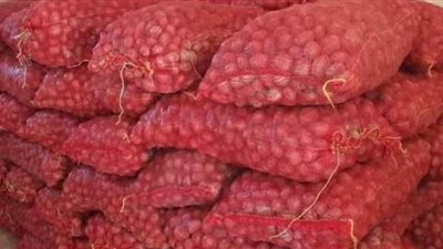 الزراعة توفر تقاوي بطاطس محسنة وراثيا للفلاحين بالوادي الجديد