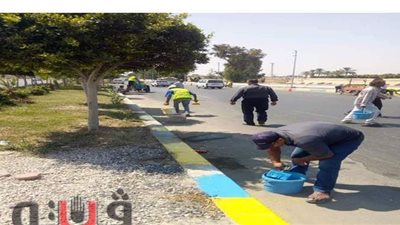 حملة مكبرة لتجميل شوارع حي ثان بالإسماعيلية| صور