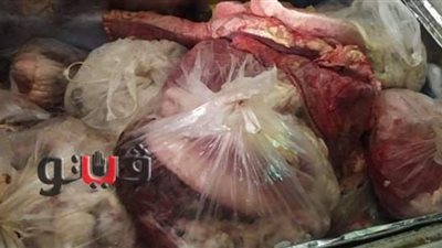 ضبط لحوم فاسدة قبل طرحها بأسواق الفيوم | صور