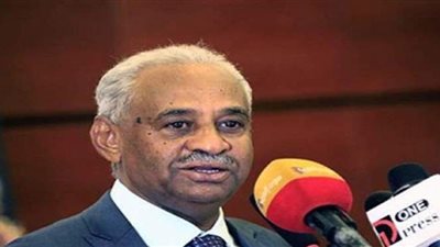 وزير الإعلام السوداني يعلن البيان المشترك بين القاهرة والخرطوم