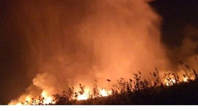 الحماية المدنية تتمكن من إخماد حريق نشب بحشائش داخل حديقة بالمنيا