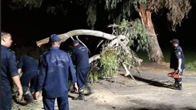 ١٢ صورة ترصد لحظة رفع شجرة أعاقت حركة السيارات بطريق 