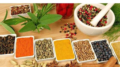 8 أعشاب تساعدك في علاج العديد من الأمراض