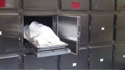 قطع لحمها وحطها في الثلاجة.. جريمة بشعة لجزار يقتل زوجته في الهرم