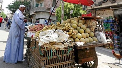 تجارية القاهرة: القضاء على الأسواق العشوائية يحمي الباعة الجائلين