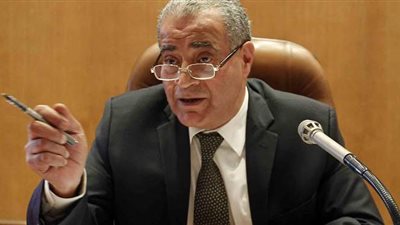 ٤ شروط أساسية للحصول على الخدمات التموينية عبر موقع دعم مصر.. تعرف عليها