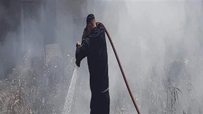 السيطرة علي حريق بطول السكة الحديد بطنطا | صور