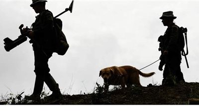 كولومبيا..مقتل 8 أشخاص بهجوم شنته عصابة مسلحة