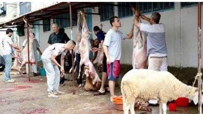 ذبح5812 رأس ماشية بالمجازر المعتمدة خلال يوليو في الشرقية