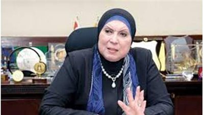 وزيرة التجارة تستعرض خطوات تخريد السيارات خلال اجتماعها بالبرلمان