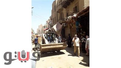 حملة لرفع لافتات وبنرات مرشحي مجلس الشيوخ بأحياء المنيا