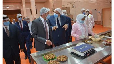 محافظ الوادي الجديد ورئيس هيئة الاستثمار يتفقدان مصانع التمور