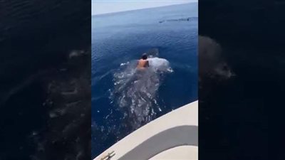 رجل يقفز على ظهر حوت في البحر الأحمر