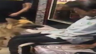 أجهزة الأمن تفحص فيديو التنمر على معاق باستخدام كلب