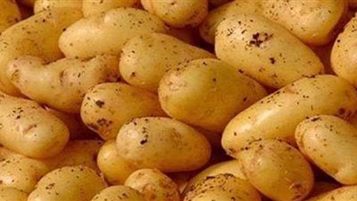 البطاطس تسجل 3 جنيهات فى الأسواق  | فيديو