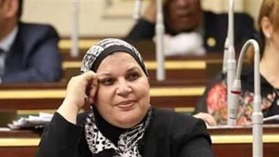 برلمانية: تأهيل الكوادر الحكومية قبل انتقالها للعاصمة الإدارية يسهم في بدء عصر جديد