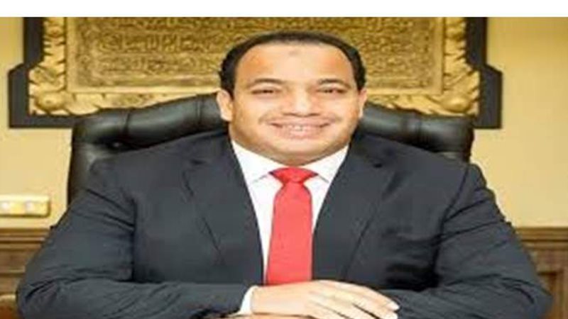 د عبد المنعم السيد