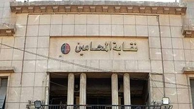 تعرف على اختصاصات النقابات الفرعية للمحامين