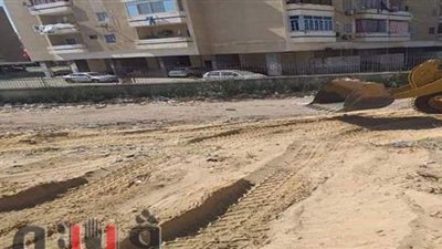 رفع 500 طن من القمامة عن منطقة الجامعة القديمة بالإسماعيلية.