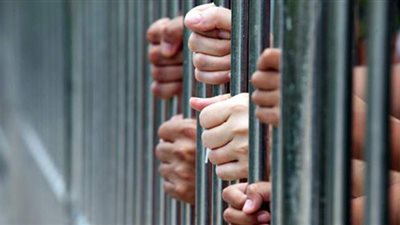 حبس المتهمين بالتنمر على معاق ذهنيا وترويعه بكلب شرس في إمبابة