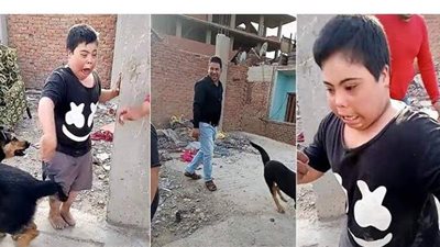 التحفظ على الكلب في واقعة التنمر بإمبابة