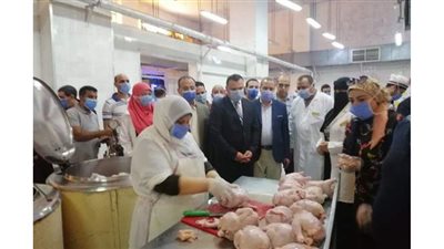 المرور على ٧٧ منشأة وتحرير ٨٨ محضرا وغلق ٥ منشآت فى  المنصورة