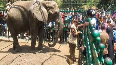 مدبولي يعلن عودة النشاط للحدائق العامة بأعداد محدودة