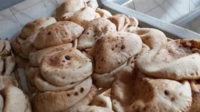 مشادة كلامية بين برلماني ومتحدث التموين بسبب رغيف  الخبز | فيديو