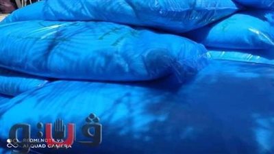 ضبط ٣٠٠ عبوة مبيدات فاسدة داخل محل بالغربية