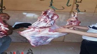 ضبط لحوم فاسدة.. وتحرير 80 محضرا في حملة بالشرقية