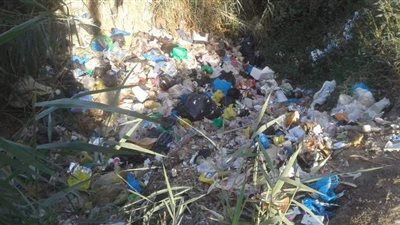القمامة تغطي مصرف السنطة الزراعي.. والحشائش تتحول لبؤرة تجذب الحشرات | صور