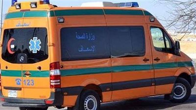 مصرع وإصابة ٩ مواطنين في حادث تصادم بطنطا