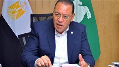 تنفيذ 12250 مشروعا للشباب في الشرقية  بتكلفة 1.7 مليار جنيه