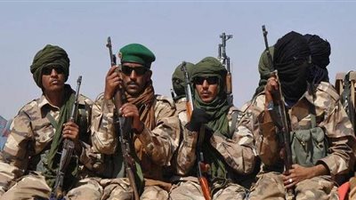 صلاح حليم: بعض زعماء المنطقة تدخلوا لحل النزاع في مالي لكن دون جدوى| فيديو