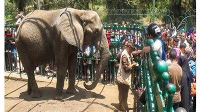 بعد خمسة أشهر من الإغلاق.. فتح حدائق الزراعة أمام الجمهور الإثنين المقبل