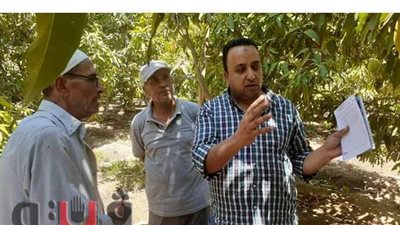 زراعة الإسماعيلية تُكثف المرور على مصائد ذبابتي الفاكهة والخوخ بفايد