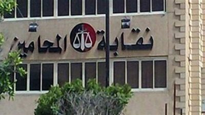 تفاصيل الدعوة لانتخابات النقابات الفرعية للمحامين