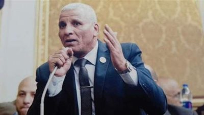 نائب: التوقيت الحالي غير مناسب لإصدار قانون الإيجار القديم