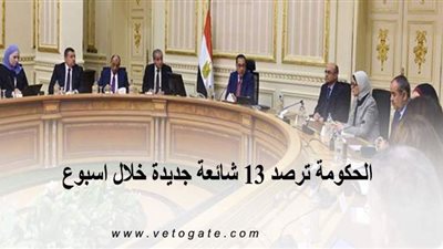 الحكومة ترصد ١٣ شائعة جديدة خلال أسبوع | فيديو وإنفرجراف